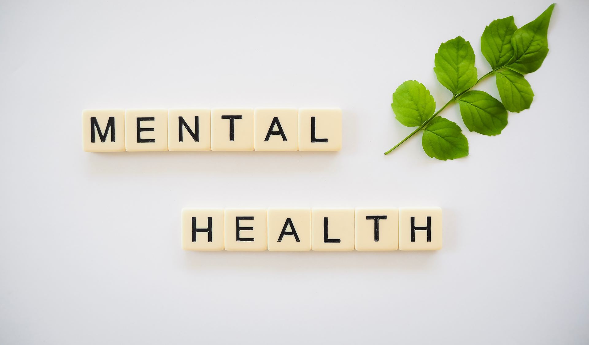 Scrabble Pieces spelling the words 'mental health' next to a small sprig of leaves
